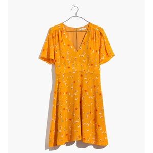 Madewell Silk Belladonna Dress